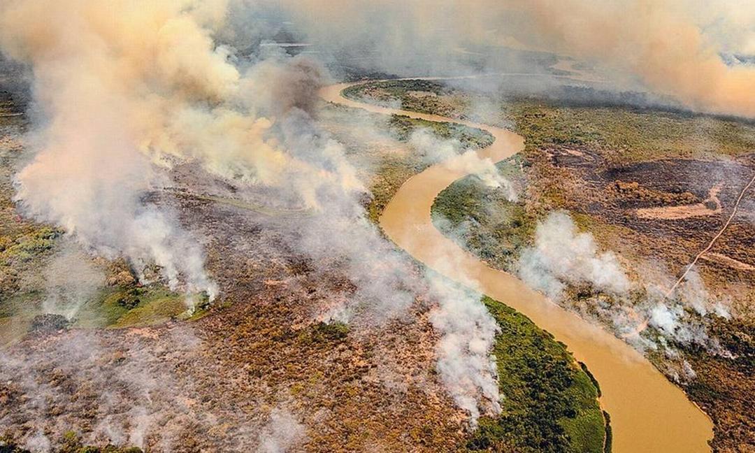 O que está acontecendo com o Pantanal?